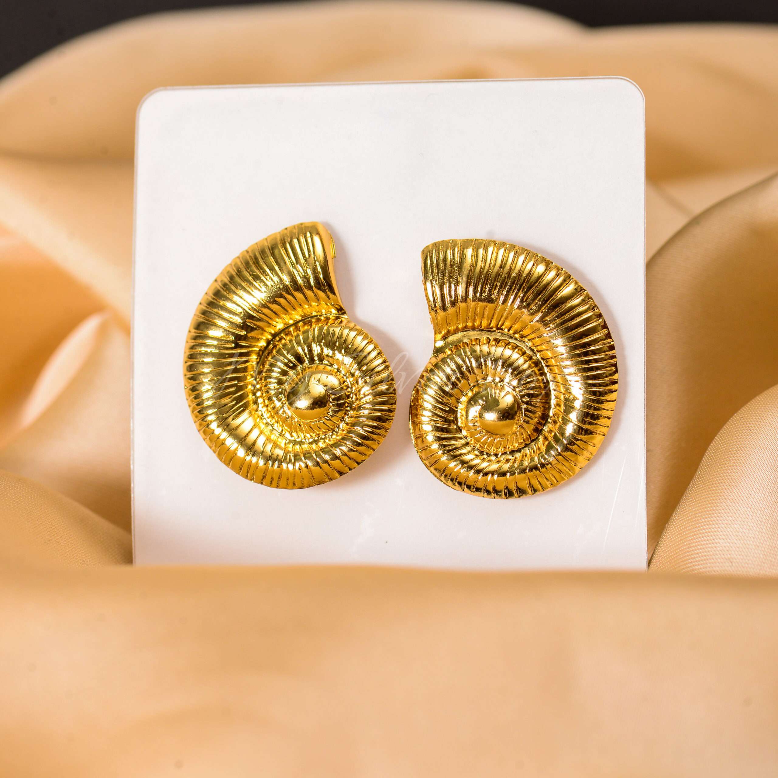 Stainless Steel Conch Studs